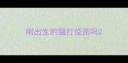 刚出生的猫打疫苗吗