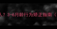 可卡犬幼犬期咬人3-6月龄行为矫正指南附科学训练法