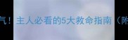 哈士奇突然急促喘气主人必看的5大救命指南附紧急处理步骤