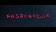 狗疫苗没打完能出去吗