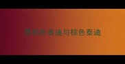 香槟色泰迪与棕色泰迪