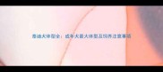 泰迪犬体型全成年犬最大体型及饲养注意事项