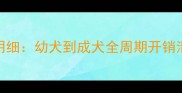 泰迪犬每月饲养成本明细幼犬到成犬全周期开销清单附详细费用表