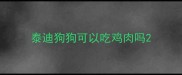 泰迪狗狗可以吃鸡肉吗