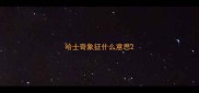 哈士奇象征什么意思
