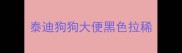 泰迪狗狗大便黑色拉稀