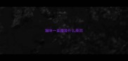 猫咪一直蹭我什么原因