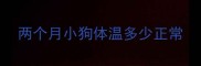 两个月小狗体温多少正常