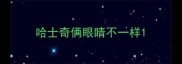 哈士奇俩眼睛不一样