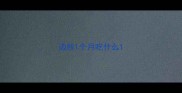 边牧1个月吃什么