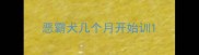 恶霸犬几个月开始训