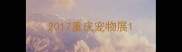 2017重庆宠物展