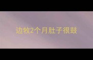 边牧2个月肚子很鼓
