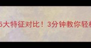 拉布拉多VS土狗5大特征对比3分钟教你轻松辨别纯种与土狗