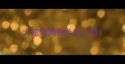 大宠物狗白色哈士奇