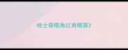 哈士奇眼角红有眼屎