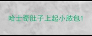 哈士奇肚子上起小脓包