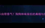 拉布拉多自带香气狗狗体味背后的真相与护理指南