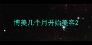 博美几个月开始美容