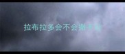 拉布拉多会不会撒手没