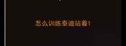 怎么训练泰迪站着
