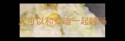 人可以和泰迪一起睡吗