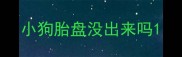 小狗胎盘没出来吗