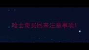 哈士奇买回来注意事项