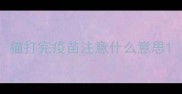 猫打完疫苗注意什么意思
