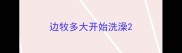 边牧多大开始洗澡