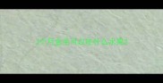 3个月金毛可以吃什么水果