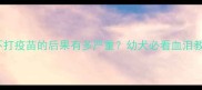 土狗不打疫苗的后果有多严重幼犬必看血泪教训