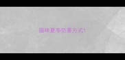 猫咪夏季防暑方式