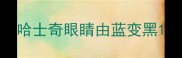 哈士奇眼睛由蓝变黑