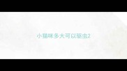 小猫咪多大可以驱虫