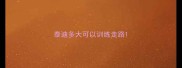 泰迪多大可以训练走路