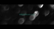 狗狗洗澡美容多少钱