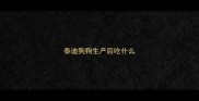 泰迪狗狗生产后吃什么