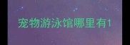 宠物游泳馆哪里有