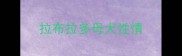 拉布拉多母犬性情