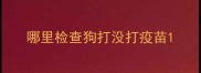 哪里检查狗打没打疫苗