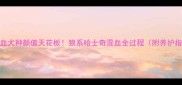 二混血犬种颜值天花板狼系哈士奇混血全过程附养护指南