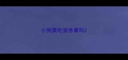 小狗要吃营养膏吗