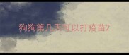 狗狗第几天可以打疫苗