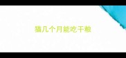 猫几个月能吃干粮