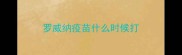罗威纳疫苗什么时候打