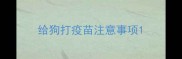 给狗打疫苗注意事项