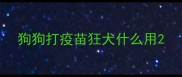 狗狗打疫苗狂犬什么用