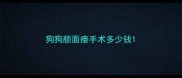狗狗颜面瘘手术多少钱
