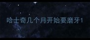 哈士奇几个月开始要磨牙